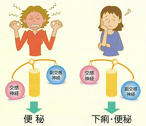 大腸の運動