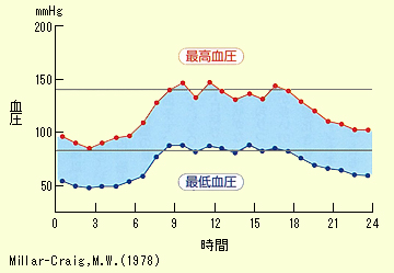 1日の中での血圧の変化