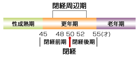 更年期とは性的成熟状態から、卵巣機能が完全に消失するまでの期間